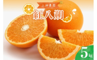 【先行受付】【2027年3月上旬～発送】上神農園の紅八朔 約5kg 柑橘 はっさく 産地直送 ku011-045-26