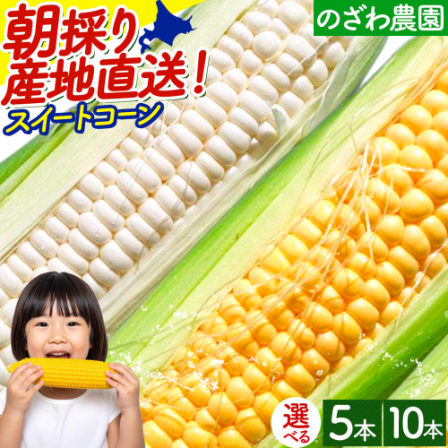 【先行予約】とうもろこし スイートコーン 約 5本 2kg 10本 4kg のざわ農園 《2026年8月上旬-9月中旬頃出荷》 とうもろこし コーン とうきび 北海道 日高産 野菜 とうもろこし 北海道コーン 産地直送 旬 野菜 夏野菜 BBQ キャンプ 2696646 - 北海道日高町