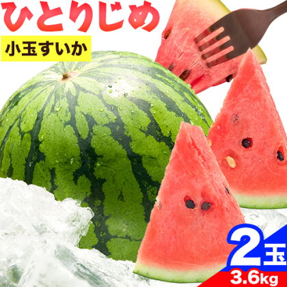 紀州和歌山産 小玉スイカ 「ひとりじめ」 2玉 魚鶴商店《2027年6月上旬-6月下旬頃出荷》 和歌山県 日高川町 スイカ スイーツ フルーツ 2696659 - 和歌山県日高川町