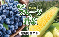 【先行予約】【全2回定期便】完熟生ブルーベリー（ラビットアイ系）600g スイートコーン 1.7kg (約5本) | 2027年発送 定期便 早期予約 農家直送 生 ブルーベリー スイートコーン とうもろこし トウモロコシ フルーツ  果物 野菜 厳選 人気 デザート 家庭用 ギフト 贈り物 くだもの 旬 甘い 先行予約 産地直送 小分け 冷蔵 期間限定 季節限定 おすすめ 高知県 南国市