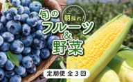 【先行予約】【全3回定期便】完熟生ブルーベリー（サザンハイブッシュ系・ラビットアイ系）各600g スイートコーン 1.7kg (約5本) | 2027年発送 定期便 早期予約 農家直送 生 ブルーベリー スイートコーン とうもろこし トウモロコシ フルーツ  果物 野菜 厳選 人気 家庭用 ギフト 贈り物 旬 甘い 先行予約 産地直送 小分け 冷蔵 期間限定 季節限定 おすすめ 高知県 南国市