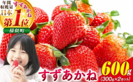 初夏を告げる！北海道様似町産 すずあかね 600g（300g×2セット）【 いちご イチゴ 苺 ストロベリー ichigo itigo ICHIGO ITIGO strawberry STRAWBERRY すずあかね フルーツ 果物 夏いちご 冷蔵 国産 数量限定 くだもの デザート 特産品 名産品 家庭用 朝食 おやつ 新鮮 スイーツ ヨーグルト ジャム ケーキ 夏 ギフト 北海道 様似町 】
