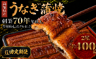 【6回 定期便】  高知県産 うなぎ 蒲焼 2尾 | 国産 日本産 うな重 うな丼 鰻 ウナギ 有頭 蒲焼き かばやき 土用丑の日 土用の丑の日 丑の日 魚 魚介 魚貝 海鮮 高級 贅沢 特別 老舗 初音 釜めし初音 鰻蒲焼 タレ付き タレ 贈答 お取り寄せ 冷凍 うな重 ギフト 贈り物 お祝い プレゼント ご褒美 人気 おすすめ 湯煎 簡単 調理 おかず お手軽 ご当地 グルメ 高知県 南国市