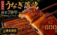 【2回 定期便】  高知県産 うなぎ 蒲焼 3尾 | 国産 日本産 うな重 うな丼 鰻 ウナギ 有頭 蒲焼き かばやき 土用丑の日 土用の丑の日 丑の日 魚 魚介 魚貝 海鮮 高級 贅沢 特別 老舗 初音 釜めし初音 鰻蒲焼 タレ付き タレ 贈答 お取り寄せ 冷凍 うな重 ギフト 贈り物 お祝い プレゼント ご褒美 人気 おすすめ 湯煎 簡単 調理 おかず お手軽 ご当地 グルメ 高知県 南国市