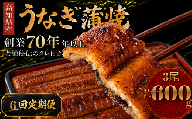 【6回 定期便】  高知県産 うなぎ 蒲焼 3尾 | 国産 日本産 うな重 うな丼 鰻 ウナギ 有頭 蒲焼き かばやき 土用丑の日 土用の丑の日 丑の日 魚 魚介 魚貝 海鮮 高級 贅沢 特別 老舗 初音 釜めし初音 鰻蒲焼 タレ付き タレ 贈答 お取り寄せ 冷凍 うな重 ギフト 贈り物 お祝い プレゼント ご褒美 人気 おすすめ 湯煎 簡単 調理 おかず お手軽 ご当地 グルメ 高知県 南国市