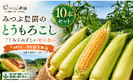 【極甘・数量限定】みつぶ農園の朝採れ絶品とうもろこし 贅沢10本セット 長野県信濃町