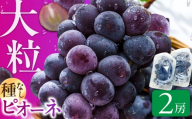【★先行予約★ 2026年7月中旬以降発送】ピオーネ 2パック（約700g） 広川町 / JAふくおか八女農産物直売所どろや [AFAB115]