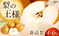 [先行予約]梨 新高梨 (にいたかなし) 4〜6玉 [2026年9月〜発送] / フルーツ 果物 くだもの 食品 人気 おすすめ 梨 なし 新高梨 にいたかなし 和梨 甘い 高糖度 ナシ 大玉 黄金色 見事なボリューム 最高峰 愛媛県内子町産 国産 ふるさと納税 お取り寄せ ギフト 特産品 四国 返礼品 新鮮 旬 秋 贈答品 お礼品 / 株式会社内子フレッシュパークからり [BKAD121]