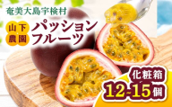 【2026年6～7月頃順次発送予定】パッションフルーツ 1箱（12個～15個入） 贈答用 鹿児島県産 国産 電照栽培 栽培期間中農薬不使用 奄美大島 宇検村 南国フルーツ 産地直送 デザート 特産品 旬 新物 ギフト