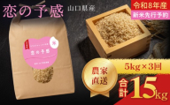 【定期便3ヶ月】 令和8年産  恋の予感 玄米 5kg 計15kg