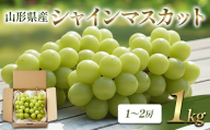 山形県産 シャインマスカット 1kg FSY-2848