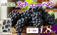 山形県産 スチューベン 1.8kg FSY-2849