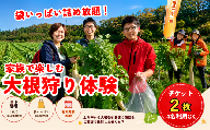 [収穫体験]大根狩り チケット 2枚 4名分 収穫体験 取り放題 野菜 だいこん 詰め放題 農業体験 ファミリー向け 岩手県 一関市 藤沢町 畑沢やさい村