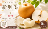 【数量限定】きしだ農園 新興梨（進物） 5kg