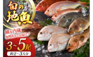 魚 地魚 詰め合わせ 3〜5尾 [平戸瀬戸市場 長崎県 平戸市 hr42bgy420531] 下処理済み 鮮魚 セット 朝獲れ 旬 海鮮 新鮮 海の幸 獲れたて