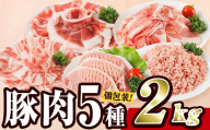 ＼11月発送／ 豚肉 バラエティーパック (合計2kg) 豚バラ しゃぶしゃぶ 鍋 とんかつ ロース 小分け 個包装 豚こま 小間切れ スライス ミンチ 5種 セット 詰め合わせ 冷凍 食べ比べ 国産 大分県 佐伯市【BD320-011】【西日本畜産】