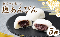 塩大福 塩あんびん 5個 100年の歴史を誇る和菓子屋 | 和菓子 わがし 詰め合わせ セット 老舗 塩大福 塩あんびん 石臼 つきたて 餅 国産小豆 厳選素材 職人 昔ながら 製法 こだわり 甘くない 甘さ控えめ あっさり 塩味 ふんわり もっちり あんこ 風味 素朴 個包装 人気 名物 お取り寄せ 栄屋菓子舗 埼玉県 桶川市