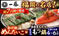 【もつ鍋一藤×かば田】国産黒毛和牛肉のもつ鍋醤油(4〜6人前)とかば田の辛子明太子 コラボセット スピード配送 広川町 / Smallcompany株式会社 [AFCB021-1]