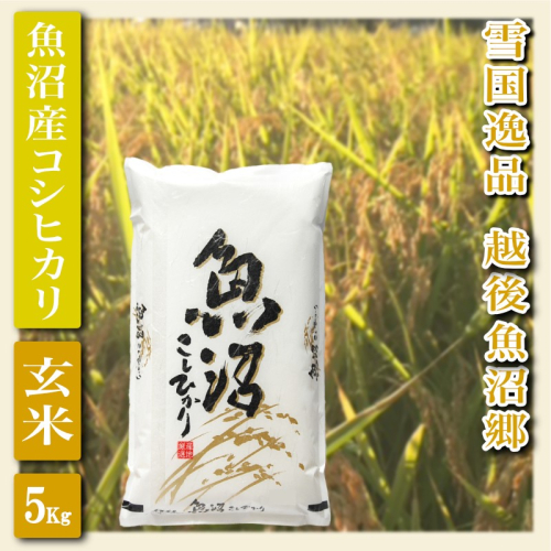 【先行予約 令和8年産】 雪国逸品 玄米5Kg 越後魚沼郷 魚沼産コシヒカリ お米 ブランド米 銘柄米 ご飯 おにぎり お弁当 和食 産地直送 香り つや 粘り  2698339 - 新潟県魚沼市