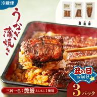 【土用の丑の日お届け】3代目が焼く蒲焼き真空パックA 3パック 国産 うなぎ 蒲焼 鰻 ウナギ 蒲焼き 丑の日 うな重 うな丼 うなぎ蒲焼 冷蔵 土用の丑の日 ギフト 三重県 多気町 UK-0107