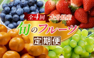 【 年4回定期便 】 大分県産旬のフルーツ定期便 果物 くだもの フルーツ 果実 果汁 果肉 ブルーベリー シャインマスカット 温州みかん いちご 国産 大分県産 詰め合わせ 定期 定期配送 【 2026年7月下旬～2027年3月下旬まで順次発送予定 】
