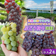 時間無制限！ぶどう狩り体験 (小学生以下2名利用) FY26-093