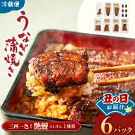 【土用の丑の日お届け】3代目が焼く蒲焼き真空パックB 6パック 国産 うなぎ 蒲焼 鰻 ウナギ 蒲焼き 丑の日 うな重 うな丼 うなぎ蒲焼 冷蔵 土用の丑の日 ギフト 三重県 多気町 UK-0207
