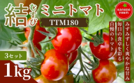 《先行予約》結（むすび）ミニトマト（TTM180）1kg 3セット 新鮮野菜 フルーツ 旬 サラダ デザート お弁当 朝食 料理用 そのまま食べる おうちごはん お取り寄せ 産地直送 贈り物 手土産 愛知県 豊橋市