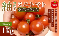 《先行予約》紬（つむぎ）ミニトマト（ラブリーさくら）　1kg 3セット 新鮮野菜 フルーツ 旬 サラダ デザート お弁当 朝食 料理用 そのまま食べる おうちごはん お取り寄せ 産地直送 贈り物 手土産 愛知県 豊橋市