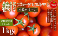 《先行予約》【定期便2ヶ月】樹（いつき）フルーツミニトマト（小鈴クイーン）1kg 1セット 甘い野菜 デザート感覚 おやつ スイーツ感覚 サラダ用 そのまま食べる 旬 家庭用 贈り物 日々の食卓 お取り寄せ 産地直送 愛知県 豊橋市