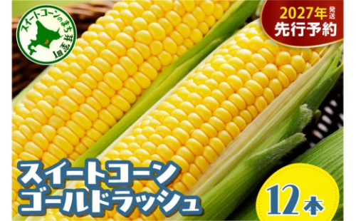 【先行受付】【2027年8月上旬から順次発送】北海道十勝芽室町　十勝めむろ産 とうもろこし ゴールドラッシュ 12本 me089-001-27b／ 人気 朝採り 産地直送 送料無料