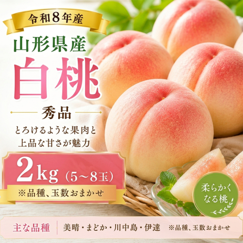 山形産 白桃 秀品 2kg(5～8玉)柔らかくなる桃 FY26-169 2698858 - 山形県山形市