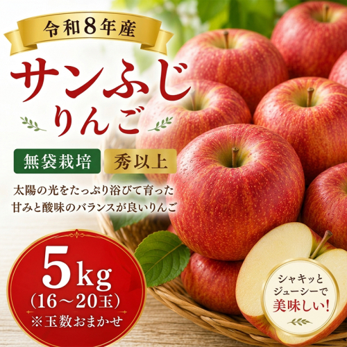 山形産 サンふじりんご 5kg(16～20玉)無袋栽培 秀以上 FY26-172 2698859 - 山形県山形市
