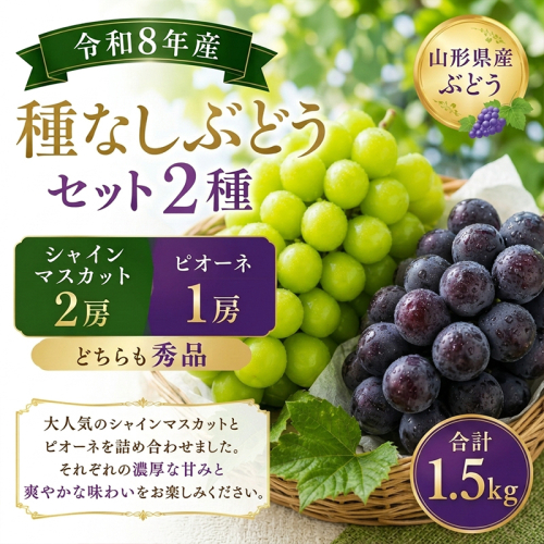 山形産 種なしぶどうセット2種 (シャインマスカット2房とピオーネ1房)秀品 合計1.5kg FY26-173 2698901 - 山形県山形市