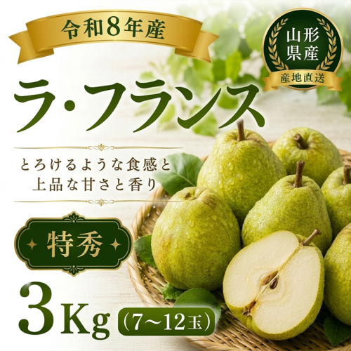 山形産 ラ・フランス 特秀 3kg(7～12玉) FY26-174 2698937 - 山形県山形市