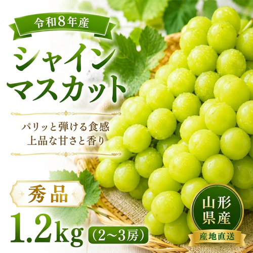山形産 シャインマスカット 秀品 1.2kg(2～3房) FY26-175 2698945 - 山形県山形市