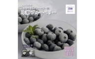 冷凍ブルーベリー ちょっと小さめ Mサイズ 1kg (500g×2個) 門前おくでらブルーベリー園【1738476】