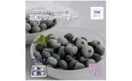 冷凍ブルーベリー ちょっと小さめ Mサイズ 2kg (500g×4個) 門前おくでらブルーベリー園【1738477】