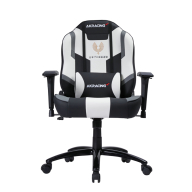 AKRacing MJ Grey 日本プロ麻雀連盟モデル エーケーレーシング ゲーミングチェア ローバックチェア（ランバーサポート付き） 099H4789