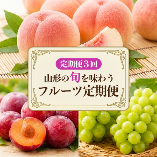 【定期便3回】山形の旬を味わう フルーツ定期便 FY26-178 2699134 - 山形県山形市