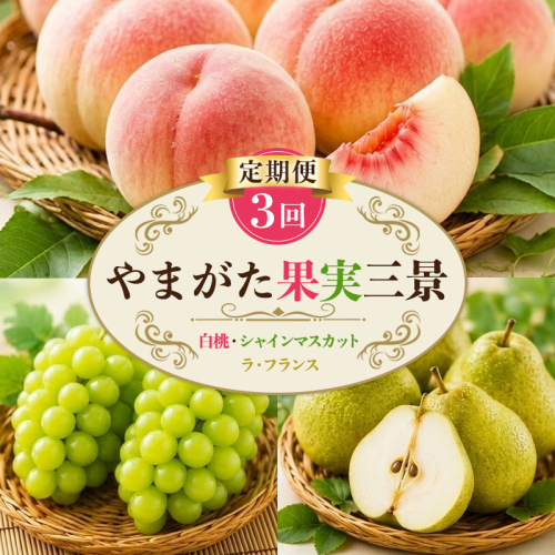 【定期便3回】やまがた果実三景 (白桃・シャインマスカット・ラ・フランス) FY26-179 2699138 - 山形県山形市