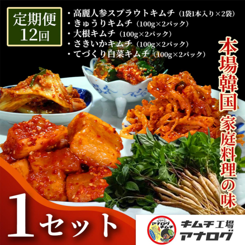 【12カ月定期便】5種の本格キムチ食べ比べ 4種のキムチ(各100g×2パック)＋スプラウトキムチ(1本入り×2袋)【熟成秘伝 きゅうり 大根 カクテキ さきいか 白菜 キムチセット 国産 手づくり 発酵食品 ご飯のお供 詰め合わせ 九州産 手作り】(H104269) 2699142 - 佐賀県神埼市