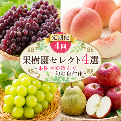 【定期便4回】果樹園セレクト４選 果樹園が選んだ、旬の自信作 FY26-183 2699166 - 山形県山形市