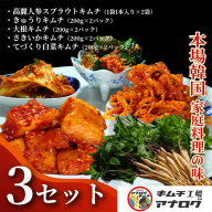 5種の本格キムチ食べ比べ 4種のキムチ(各200g×6パック)＋スプラウトキムチ(1本入り×6袋)【熟成秘伝 きゅうり 大根 カクテキ さきいか 白菜 キムチセット 国産 手づくり 発酵食品 ご飯のお供 詰め合わせ 九州産 手作り】(H104271)