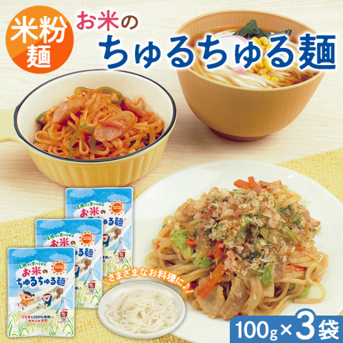 【米粉麺】お米のちゅるちゅる麺 100g×3袋 FY26-111 2699213 - 山形県山形市