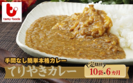 【定期便6ヵ月】てりやきカレー 180g×10袋 訳あり | カレー かれー 訳あり てりやきカレー 冷凍カレー カレー 時短 レンチン 冷凍食品 保存食 常備食 ギフト プレゼント 自宅用 本格 中辛 甘口 子供 お子様カレー たまねぎ おいしい おすすめ 人気 タミー食品 埼玉県 所沢市