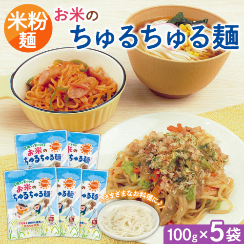 【米粉麺】お米のちゅるちゅる麺 100g×5袋 FY26-112 2699228 - 山形県山形市