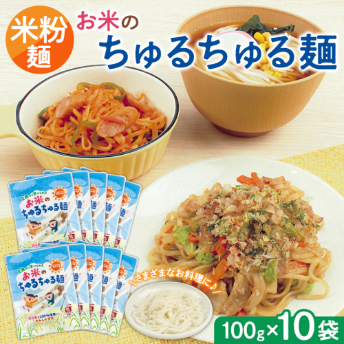 【米粉麺】お米のちゅるちゅる麺 100g×10袋 FY26-113 2699230 - 山形県山形市