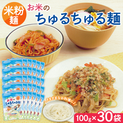 【米粉麺】お米のちゅるちゅる麺 100g×30袋 FY26-115 2699233 - 山形県山形市