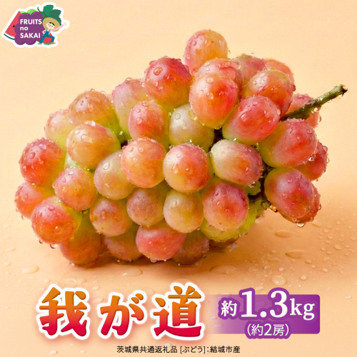 我が道 約1.3kg （約2房）【2026年8月より発送開始】（茨城県共通返礼品 [ぶどう]：結城市産） ぶどう ブドウ 葡萄 我が道 黒ぶどう 皮ごと 高級 国産 ふるさと納税 [FC19-NT] 2699237 - 茨城県つくばみらい市